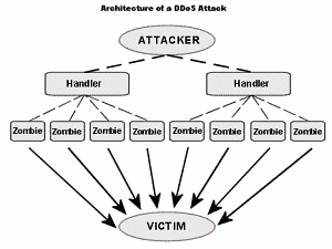 Picture of architecture of a DDOS attack